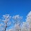 Iceblue